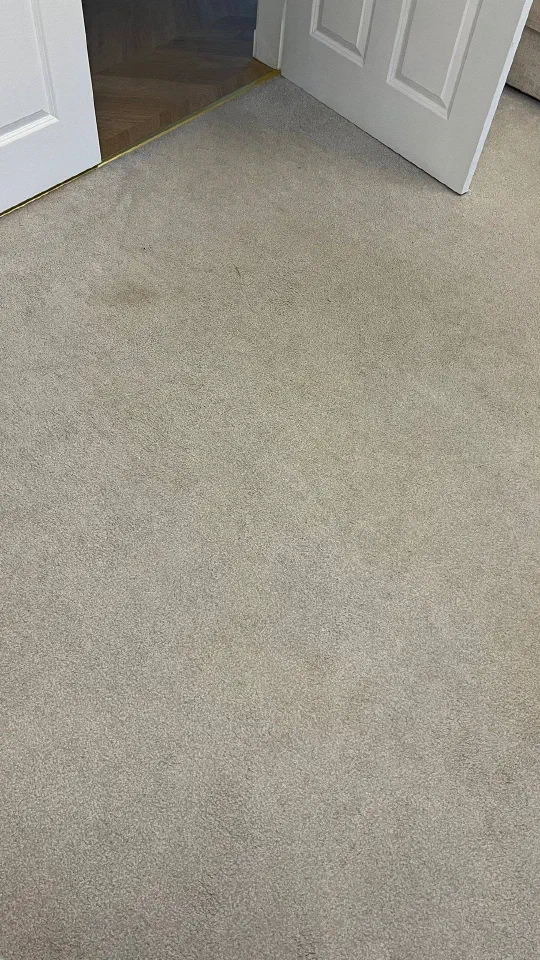 Before cleaning