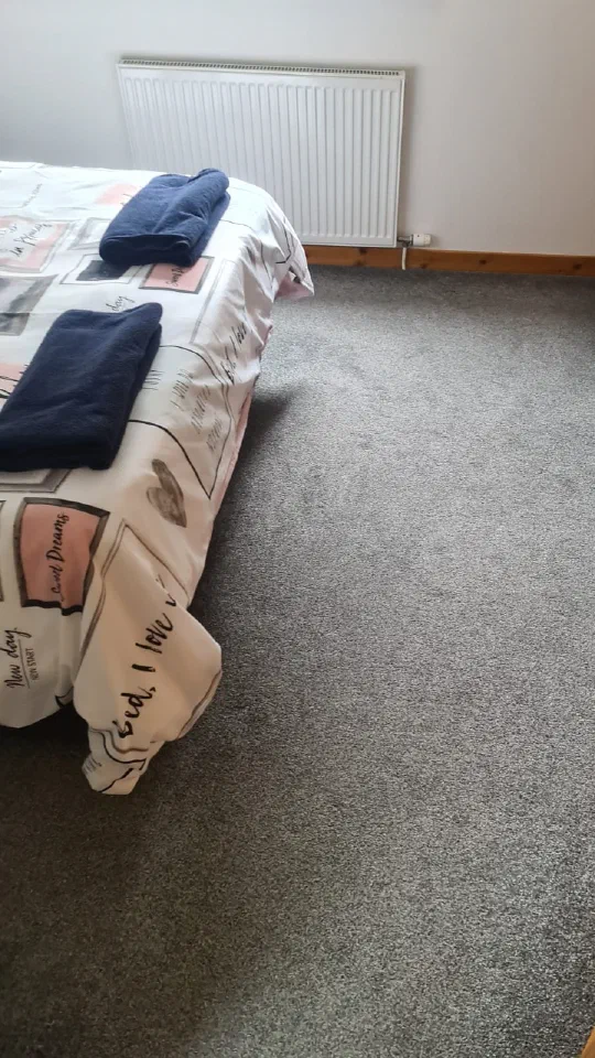 A bedroom carpet after cleaning, with a made-up double bed and a leopard-print armchair.