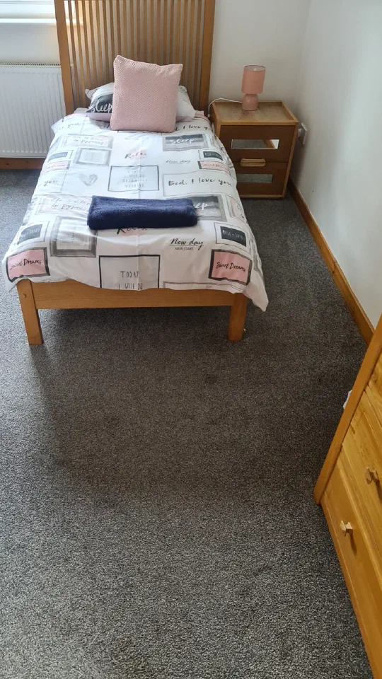 A bedroom carpet after cleaning, with a single bed and a bedside lamp.