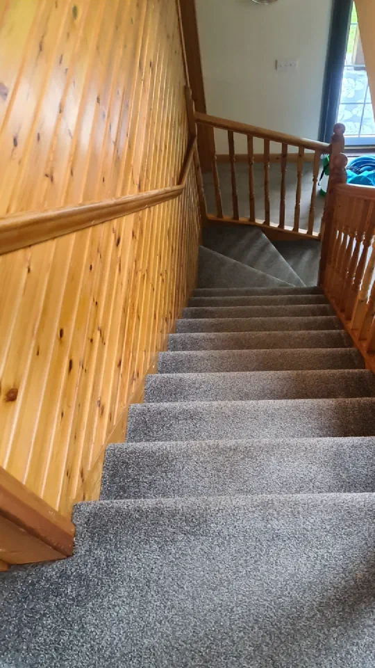 A full flight of stairs after cleaning, carpet clean from top to bottom.
